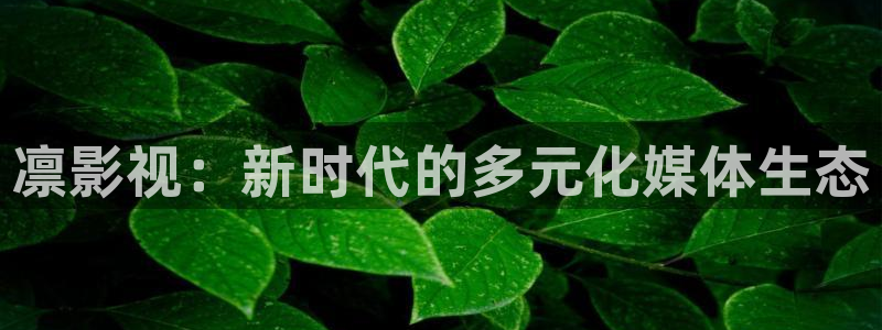 caoporn97超碰在线播放：凛影视：新时代的多元化媒体生态