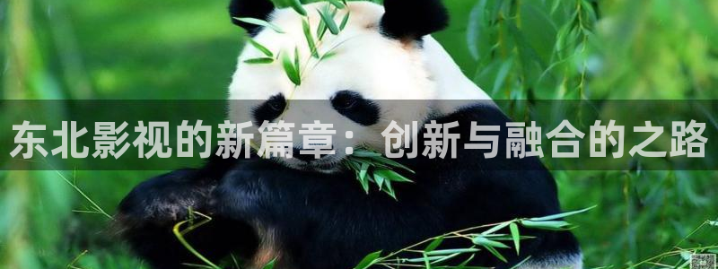 超碰在线,