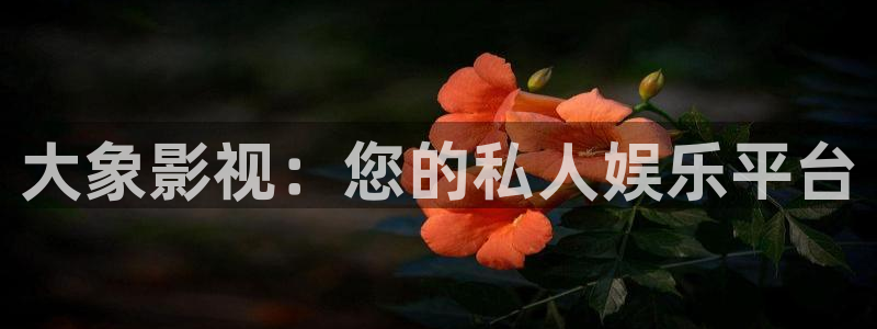97超碰cao