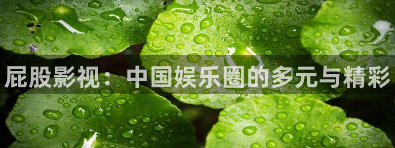 超碰在线观cab