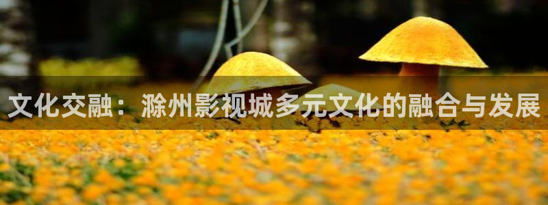 超碰在线免费资源