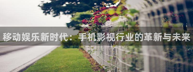 超碰社区：移动娱乐新时代：手机影视行业的革新与未来
