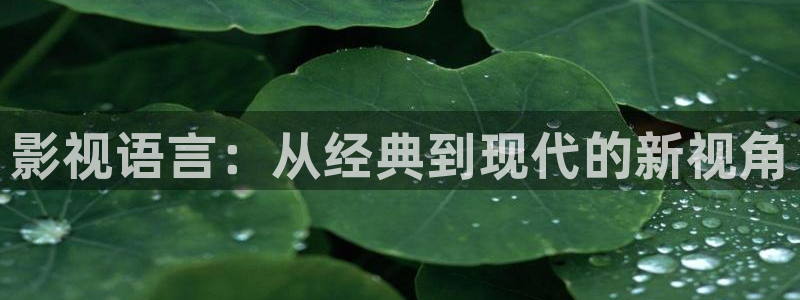 在线免费av超碰